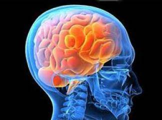 Beyin Hastalıkları İçin Bitkisel Reçeteler
