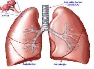 akciğer hastalıkları belirtileri halsizlik