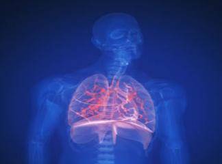 akciğer sertleşmesi bitkisel tedavi