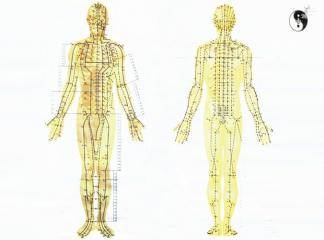Akupunktur Noktaları Haritası