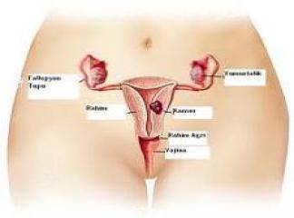 Anormal Rahim ve Vajina Kanamaları