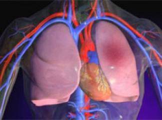 Akciğer Embolisi Hakkında Kısa Bilgi 