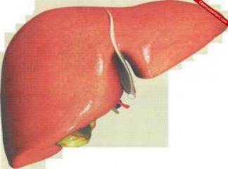 Karaciğer Kanser Belirtileri