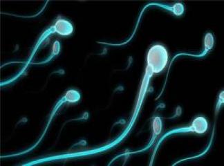 Sperm Artırmak