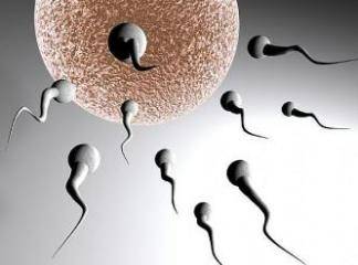 Sperm Arttıran Yiyecekler