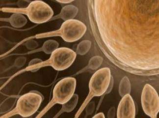 Sperm Arttırıcı İlaçlar