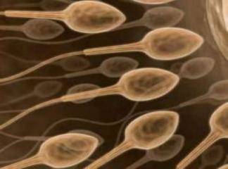 Sperm Azlığı Ve Nedenleri